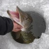 Для зимней рыбалки  - Интернет магазин Mkservis63